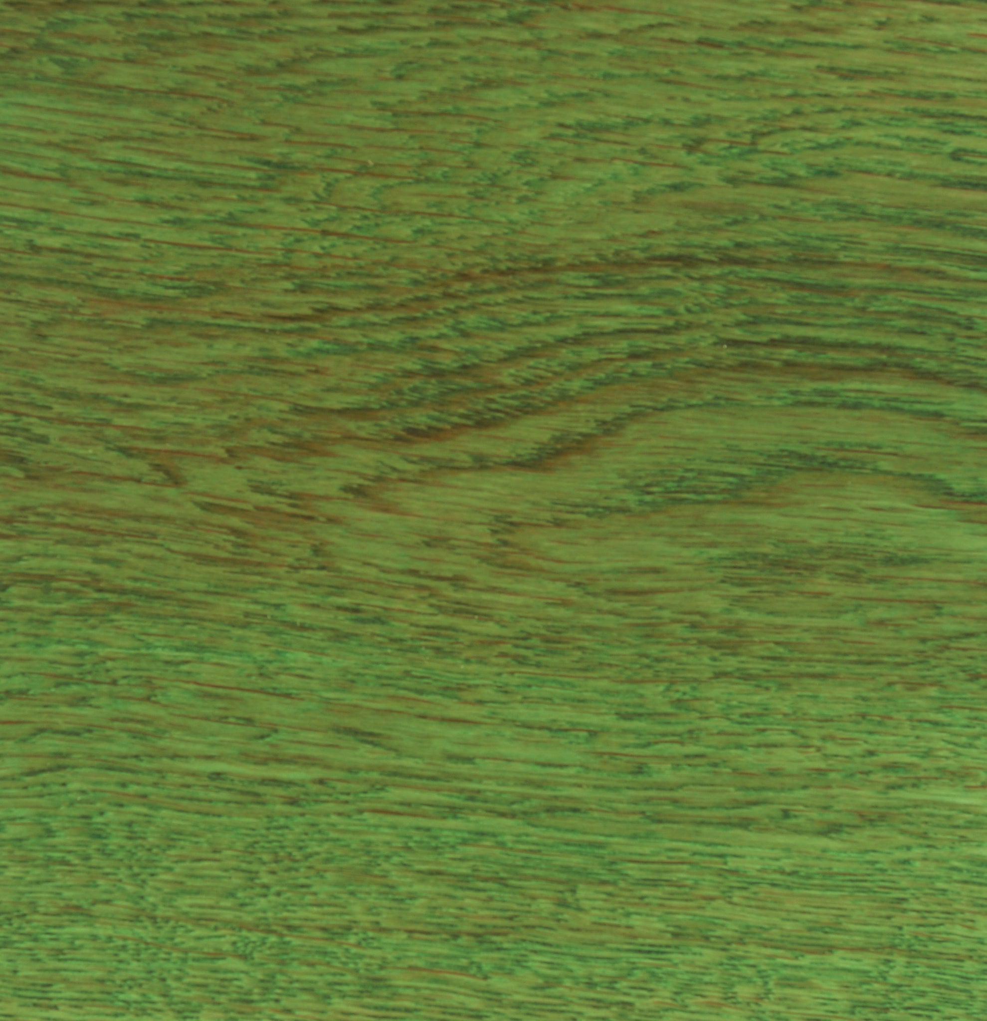 Mono verde foto de archivo. Imagen de madera, organismo - 81369706